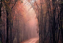 2025赛季美国大联盟薪水最高的十大球星:梅西第一,谁第二?.