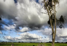 星空体育:“江苏省重大赛事:承办南京世界室内田径锦标赛等国际赛事”.