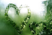 星空体育:八成意大利人支持米兰冬奥会.